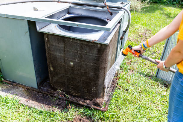 Best Air Duct Mold Removal  in Mickleton, NJ