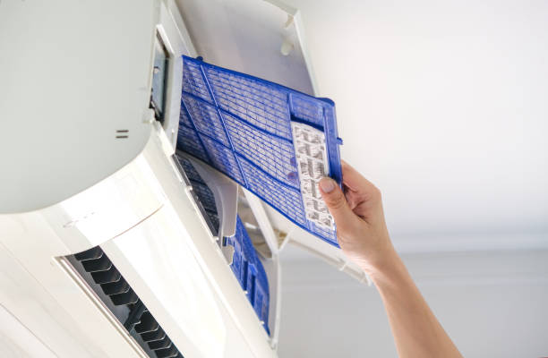 Best Air Duct Mold Removal  in Mickleton, NJ