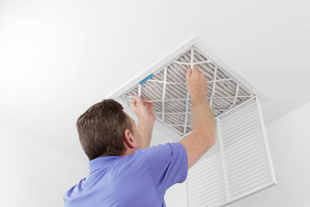 Best Professional Duct Cleaning Services  in Mickleton, NJ